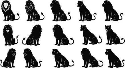 Set of fifteen black lion and lioness silhouettes in various sitting positions, isolated on a white background, for creative work © GR Graphics