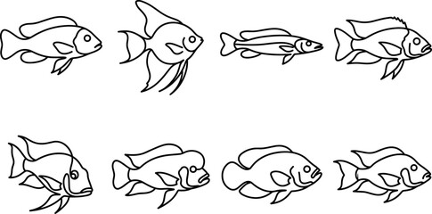 Obraz premium Fish outline vector set of diverse aquatic species in detailed drawings