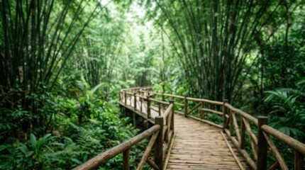 Fototapeta premium A wooden boardwalk winds through a lush, green bamboo forest with dense foliage.