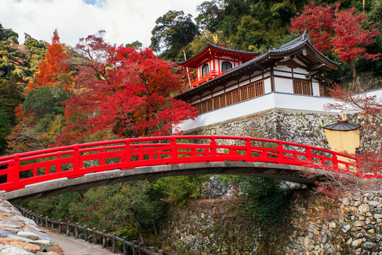 Red bridge to Ryuanji Kyakuden temple with autumn colors, Osaka