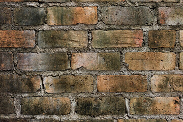 Fototapeta premium Old red brick wall for textured background