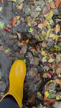 VERTICAL, FPV, POV: Bright yellow rain boots stepping across a damp wooden surface strewn with colorful autumn leaves. Woman walks through moist woodland setting on a rainy day in Dolenjska, Slovenia.