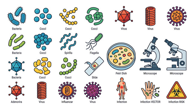 Set of colorful microbiology icons featuring bacteria viruses and laboratory equipment for scientific research.