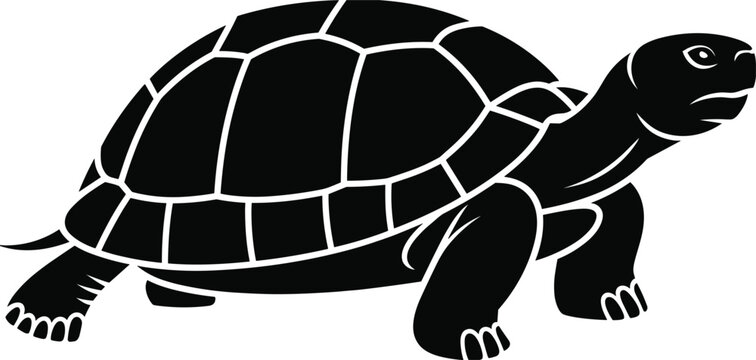 A black silhouette of a turtle walking, featuring a detailed shell and limbs, isolated on a clean white background