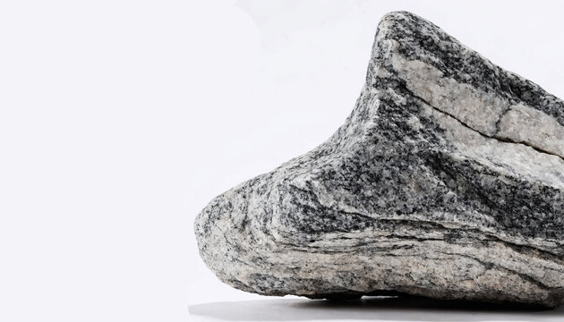 A single layered gneiss rock with distinct gray-white striated textures rests on a plain off-white background, casting a faint soft shadow below it.

