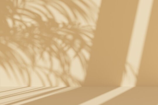 abstract shadow play on a neutral background, palm leaf silhouettes cast by natural light, creating a serene and organic mood