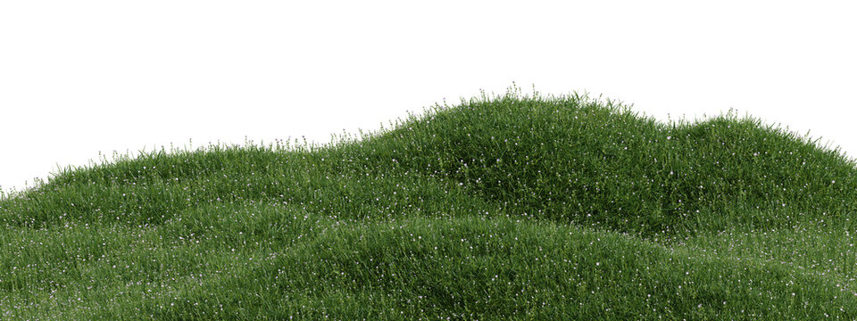 3d rolling green grass hill with tiny white flowers, nature background, spring meadow texture on transparent background