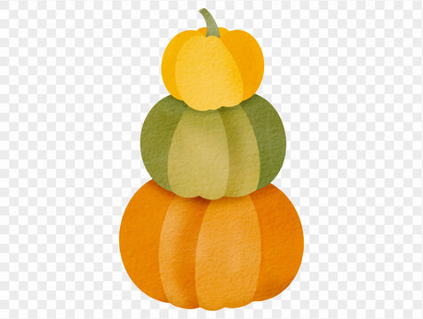Watercolor stacked pumpkins autumn harvest illustration Vector.