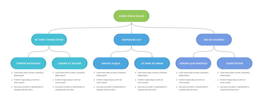 Organizational chart infographic template featuring a three-level hierarchy structure with rounded rectangular blocks connected by thin lines