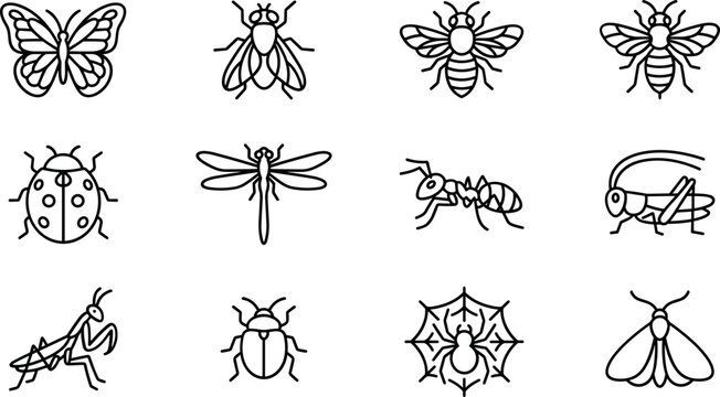 Set of Insect Icons: Butterfly, Bee, Ladybug, Ant, Dragonfly, Spider, Moth, Fly