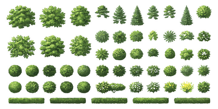 Top down view set of various green trees shrubs and bushes for architectural landscape garden design plans