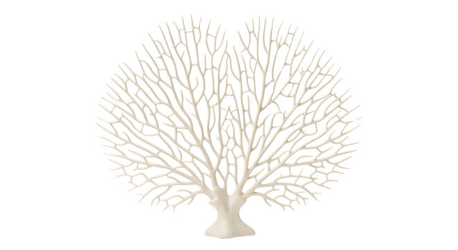 Beige or cream sea fan and gorgonian coral skeleton isolated on a black backgroun