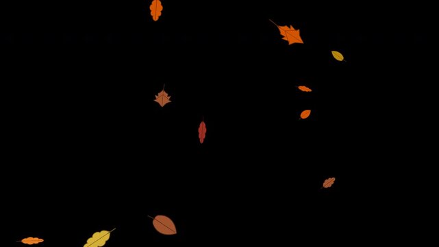 Vibrant autumn foliage falling slowly in a clean minimalist style for seasonal commercial decoration.