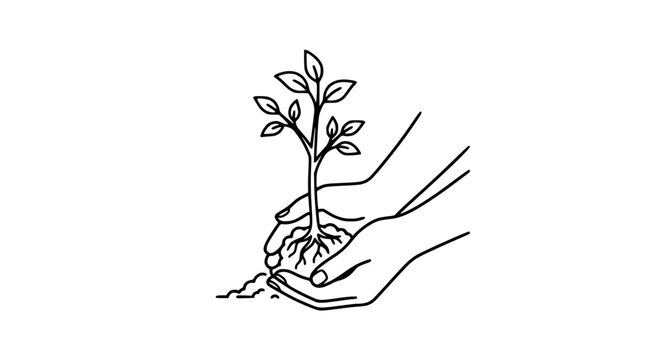 Human hands carefully holding a young tree sapling for reforestation and environmental conservation