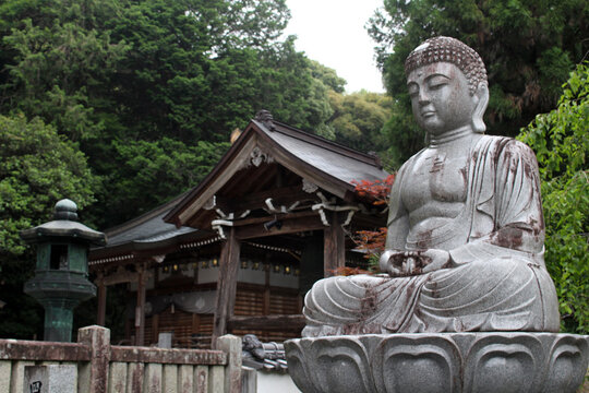 Buddha statue sitting in meditation on a lotus pedestal surrounded by dense green forest foliage at Gokurakuji, second temple in Shikoku Henro in Naruto, Japan July 2026.