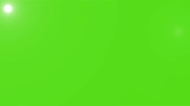 Camera flashes of photographers on green screen background. Photos captures, camera flashes effect on green screen, chromakey. Camera Flashes at a stadium concert. Seamless looping.