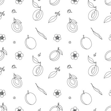 Seamless pattern of hand drawn plums, leaves, and blossoms