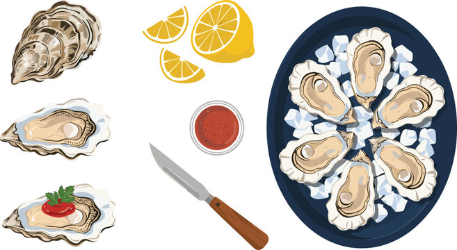 Fresh raw oysters seafood vector icon set with lemon slices, shucking knife, cocktail sauce, pearl shell, and platter served on ice for restaurant menus