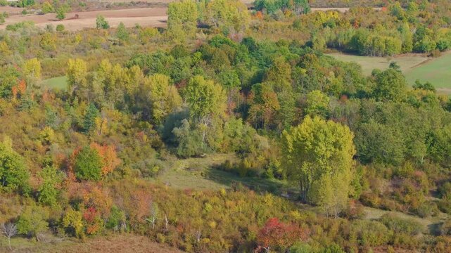 AERIAL: Mixed woodland, shrubs and small meadows displaying green, yellow, orange and red autumn colours near Otočac, Croatia. The varied canopy forms a rich seasonal mosaic across the countryside.