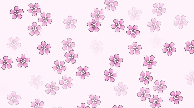 4k footage animation of japanese cherry blossom natural texture with blossom sakura and gpink pastel background. Floral japanese or chineseart. Spring vintage.