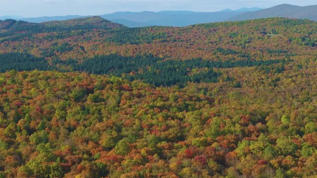 AERIAL: Winding road curves through densely forested hills covered in green, yellow and orange autumn foliage near Otočac, Croatia. Expansive landscape in colors of fall with distant blue mountains.
