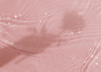 Fototapeta premium Pink pool water background, rose flower shadow