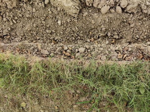 Close-up of dry soil and green grass layers showing natural earth texture and vegetation contrast symbolizing agriculture environment and ecological land composition