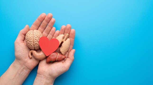 close up young man hand gesture and show about organ donation of human cell over blue background for kindness of. living and medical nonprofit concept
