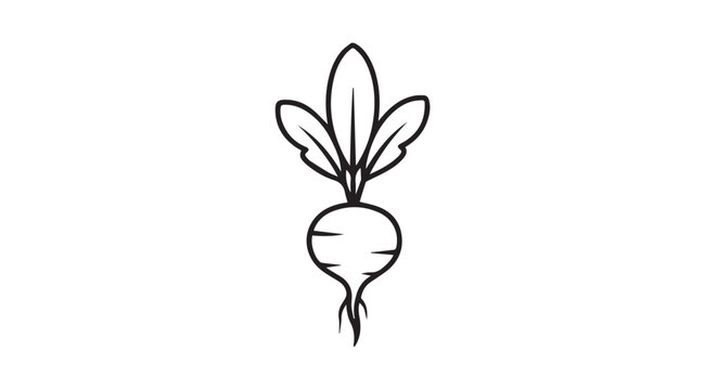 Root Vegetable Outline with Leaves on White Background Minimalist Stock Illustration