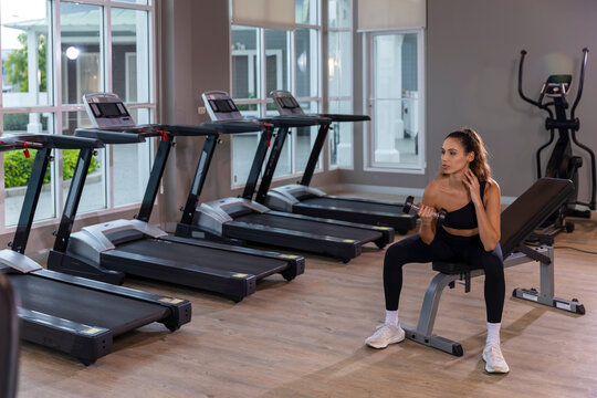 oung modern woman training with dumbbells on an exercise bench in a bright gym, combining strength workout, stretching and mindful focus for a healthy balanced lifestyle.