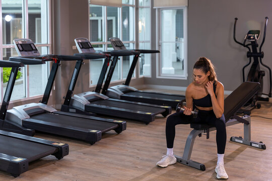 oung modern woman training with dumbbells on an exercise bench in a bright gym, combining strength workout, stretching and mindful focus for a healthy balanced lifestyle.