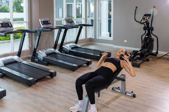 oung modern woman training with dumbbells on an exercise bench in a bright gym, combining strength workout, stretching and mindful focus for a healthy balanced lifestyle.