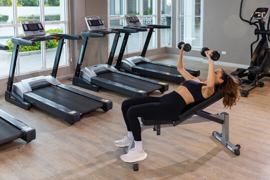 oung modern woman training with dumbbells on an exercise bench in a bright gym, combining strength workout, stretching and mindful focus for a healthy balanced lifestyle.