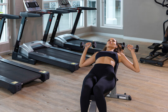 oung modern woman training with dumbbells on an exercise bench in a bright gym, combining strength workout, stretching and mindful focus for a healthy balanced lifestyle.