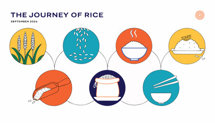 Fototapeta premium Infographic showing the complete production process and journey of rice