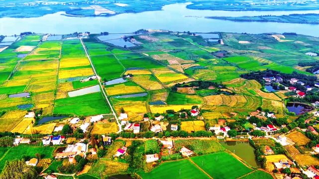 Aerial View of Patchwork Farmland with Colorful Agricultural Fields in china