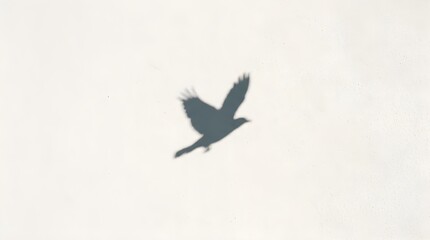 Naklejka premium Minimalist bird silhouette in flight, dark avian profile soaring against white sky, simple nature photography for clean background design