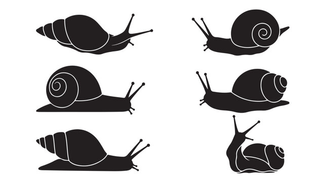 Snail silhouette vector set, black gastropod mollusk icons in various poses, 6 garden snail elements for nature and biology design projects