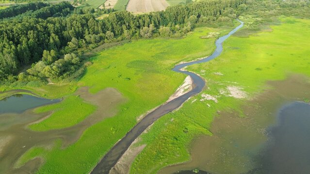 Aerial perspective of nature with lush forest