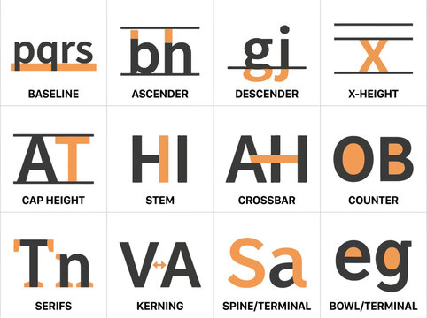 Typography anatomy infographic showing baseline ascender cap height and kerning