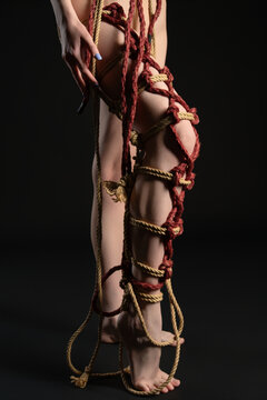 Woman's body elegantly bound in red and gold shibari ropes. Artistic studio shot on a black background.
