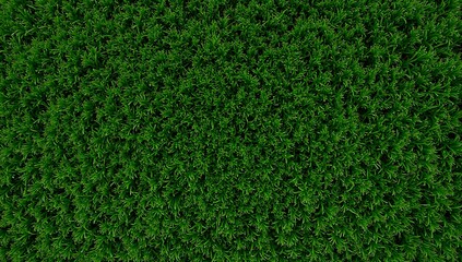 Fototapeta premium Vibrant Green Grass Texture Background Full Frame Aerial View.