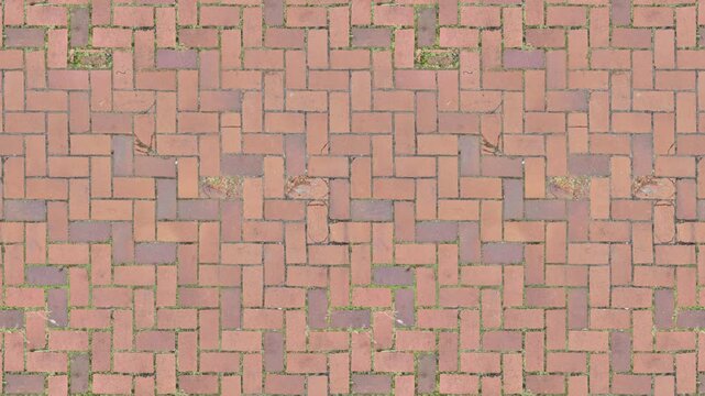Weathered brick herringbone pattern with green moss, infinite loop background.