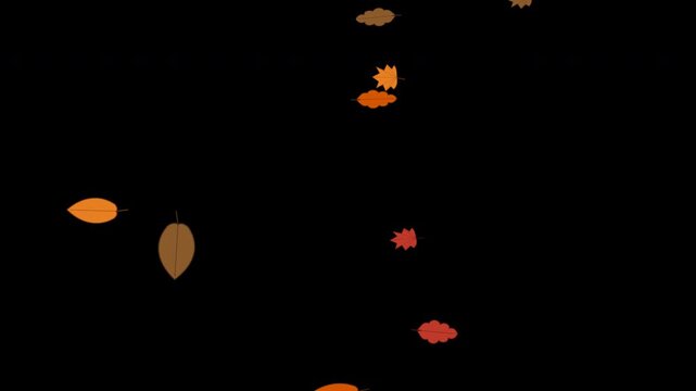 Premium Single Autumn Leaf Floating 4K Seamless Loop