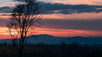 Fototapeta premium A lone tree silhouette stands against a vibrant sunset sky over distant mountains and open fields