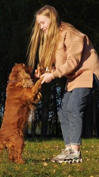 Cheerful long haired blonde woman playing and dancing with her cute cocker spaniel dog in a park. The smiling owner holds the pet's paws while the happy animal stands on its hind legs