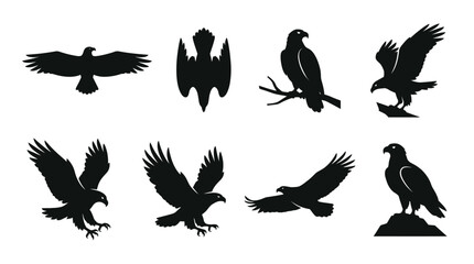 Obraz premium Collection of black bird silhouettes in flight and perched.