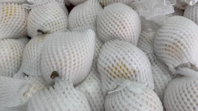Fresh pears wrapped in white protective foam net close up