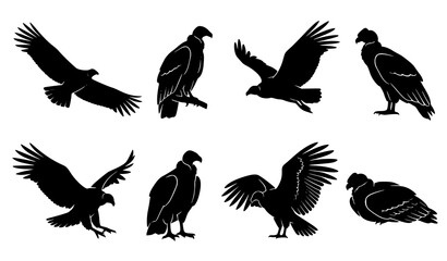 Fototapeta premium Andean Condor Vulture Silhouette Icon Set, Bird Of Prey Flying Standing Poses Pictogram Collection Vector