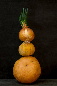 Still life with several pumpkins and sprouted onions